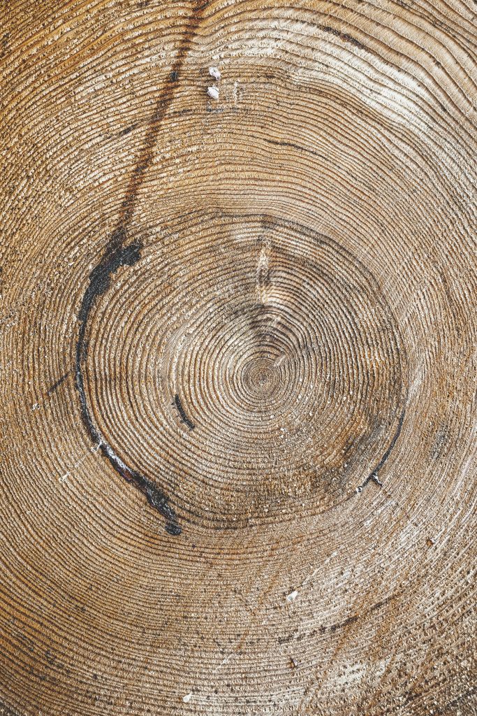 Organisationsrådgivning hos CuraVita