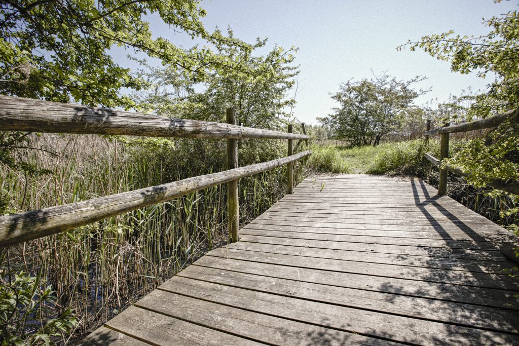 Forberedelse til behandling